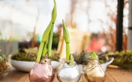 Amaryllis in Wachs selber machen - Anleitung, Tipps und Ideen für die Deko