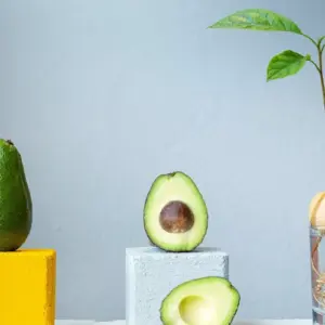 Avocado aus Kern ziehen anhand 7 einfacher Schritte + Pflege und Wachstumsbedingungen für die exotische Pflanze