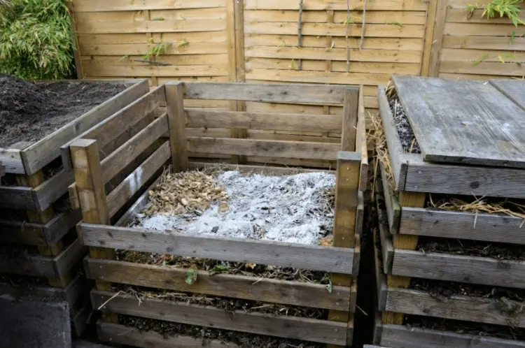 Darf Asche aus Holz auf den Kompost und unter welchen Bedingungen
