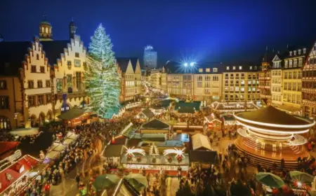 Im französischen Straßburg ist der Markt von Fachwerkhäusern umgeben