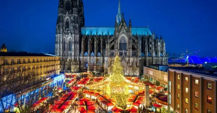 In Köln präsentiert sich der Markt am Dom mit riesigem Weihnachtsbaum