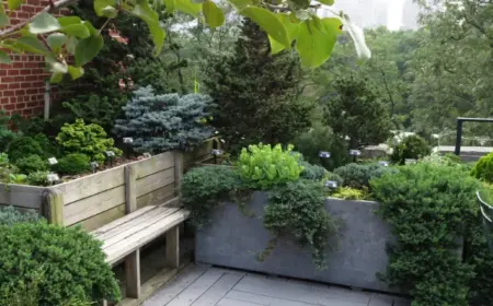 Kleinbleibend Nadelgehölze für den Balkon im Winter