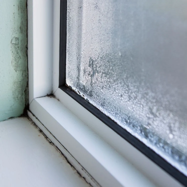 Kondenswasser am Fenster innen vermeiden Tipps