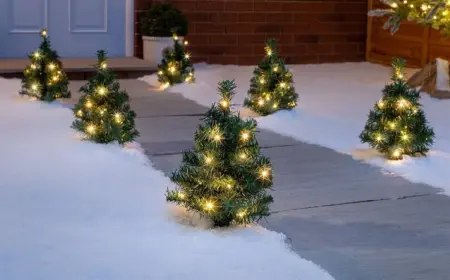 Mit diesen Mini Weihnachtsbäumen mit Beleuchtung bereiten Sie Ihren Gästen einen fröhlichen Empfang