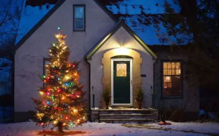 Sie können Ihren Weihnachtsbaum draußen schmücken anhand dieser einfachen Tipps und Anleitungen