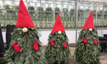 So einfach können Sie Weihnachtswichtel basteln aus Naturmaterialien für den Außenbereich