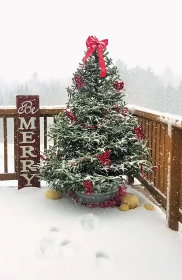 Weihnachtsbaum draußen schmücken - Beachten Sie diese wichtigen Tipps beim Dekorieren