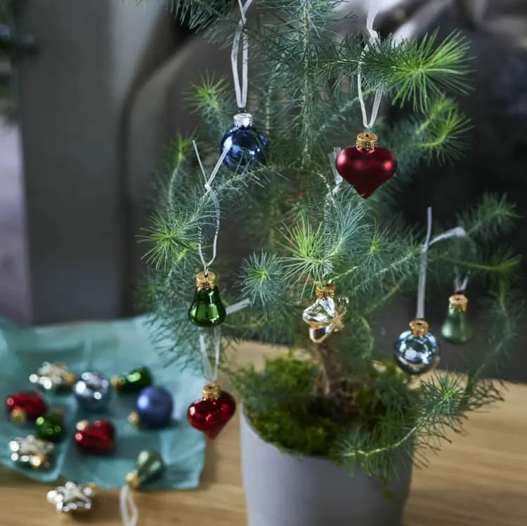 Weihnachtsdeko fürs Wohnzimmer von Ikea - Echte Nadelbäume im Topf schmücken
