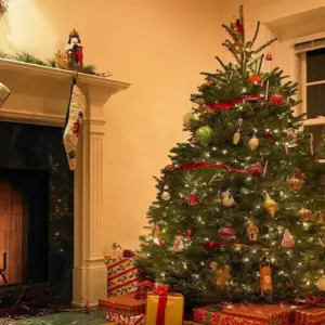 Welche Tanne riecht am besten - 7 beliebteste Sorten von echten Weihnachtsbäumen