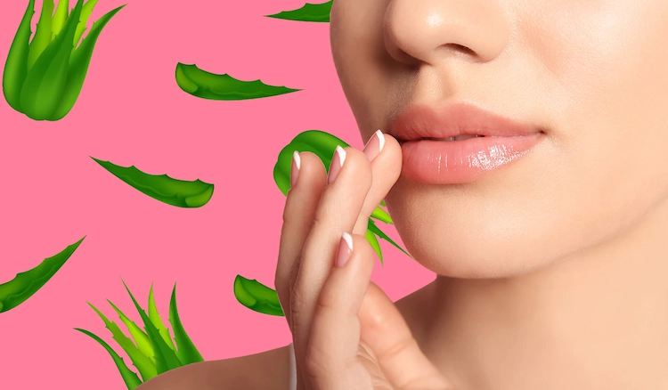 Wie bekommt man weiche Lippen mit Aloe vera