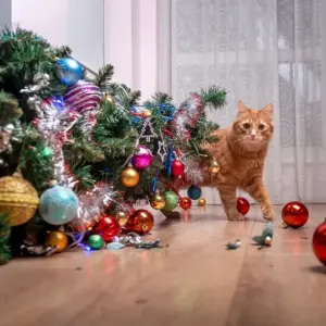 Wie kann man einen Weihnachtsbaum katzensicher machen