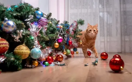 Wie kann man einen Weihnachtsbaum katzensicher machen