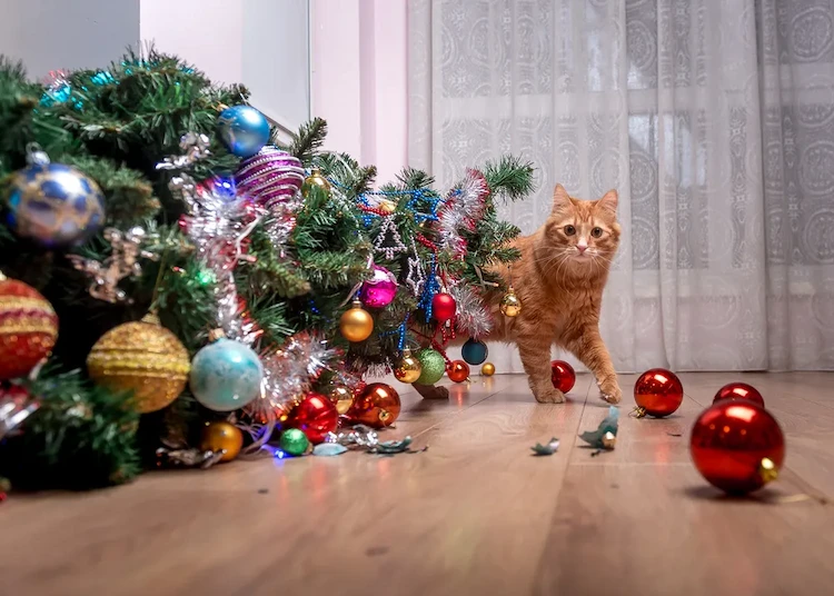 Wie kann man einen Weihnachtsbaum katzensicher machen