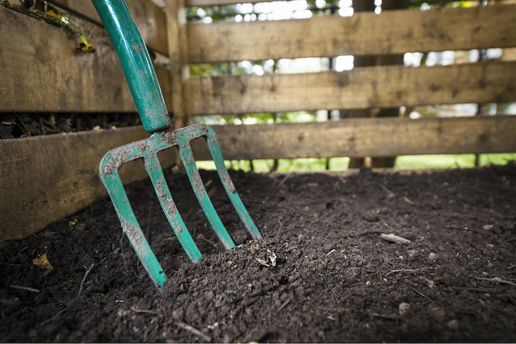 als hobbygärtner mehr über den unterschied kompost mulch wissen und pflanzenpflege verbessern