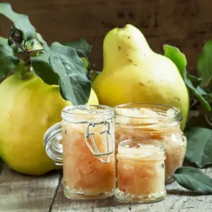 aromatische quitten verarbeiten und quittengelee oder marmelade im herbst daraus machen