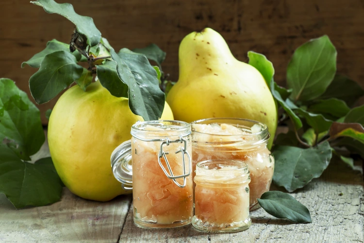 Process aromatic quinces and make quince jelly or jam in autumn