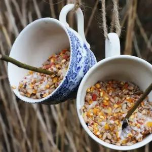 aus unbrauchbarer keramik wie teetassen oder kaffeetassen eine diy vogelfutterstelle selber bauen im herbst