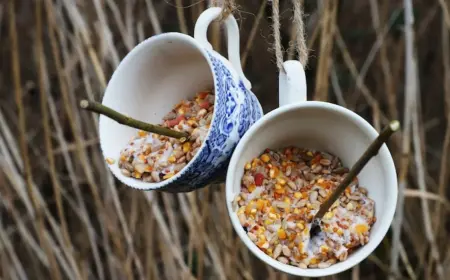 aus unbrauchbarer keramik wie teetassen oder kaffeetassen eine diy vogelfutterstelle selber bauen im herbst