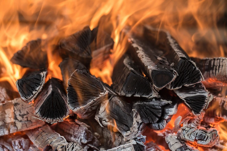 brennendes feuerholz wie kiefer kann feuchter sein und ist nicht so effizient zum heizen