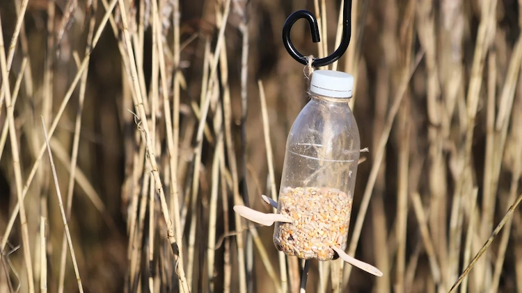 durch kreative und nachhaltige idee mit kunststoffflasche eine vogelfutterstelle selber bauen und aufhängen