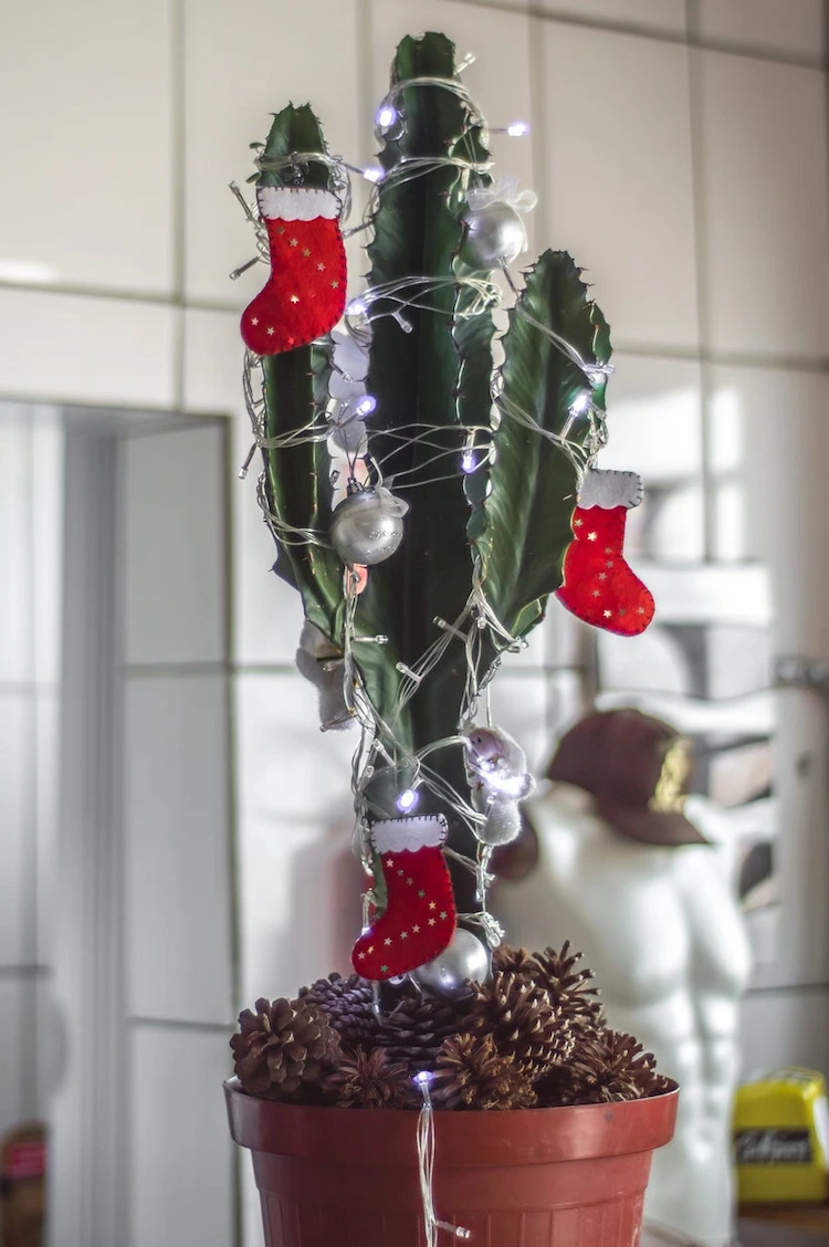 einen topf mit kaktus als weihnachstbaum mit lichterkette und weihnachtsdeko schmücken