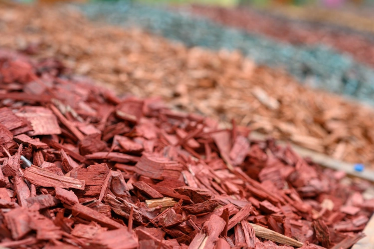 farbiger mulch aus rinde für visuelle verbesserung des gartenbodens