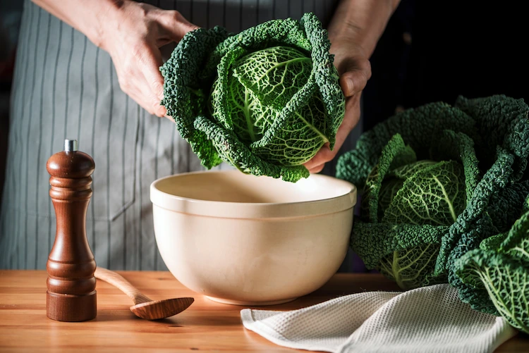 wash and prepare ripe and colored cabbage with wavy leaves