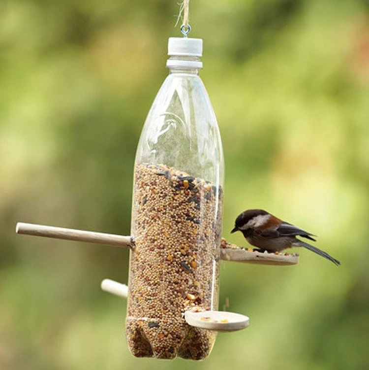 mit recycelter plastikflasche eine vogelfutterstelle selber machen und im herbst gefiederten freunden helfen