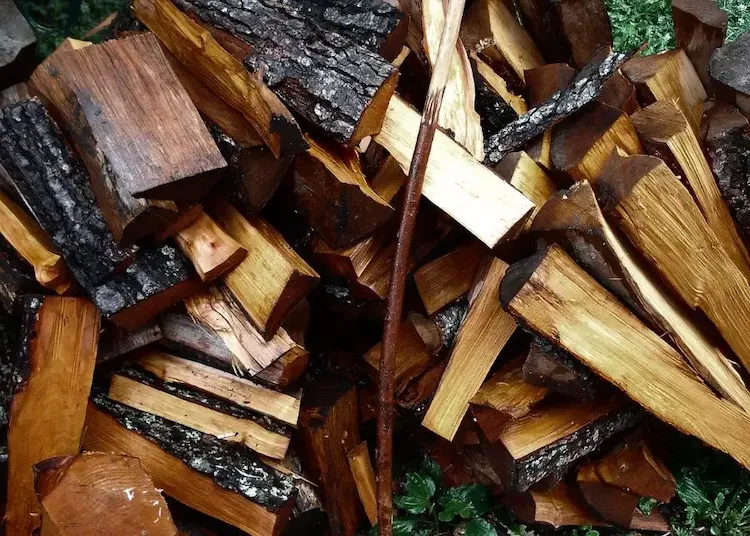 nach regenfall im herbst auf die möglichst schnelle art und weise gestapeltes brennholz trocknen und lagern