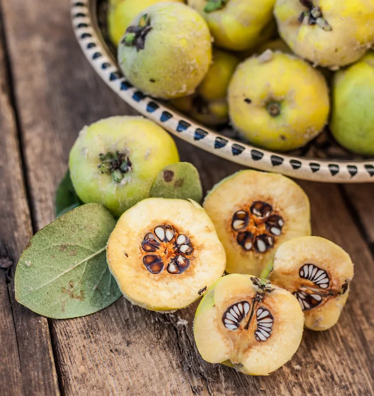 Process the quince seeds and use the water to make quince mud as a home remedy