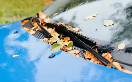 sich auf wischblätter und windschutzscheibe ansammelnde herbstblätter