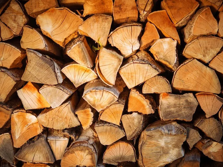 wichtige faktoren beachten und trockenheit bei feuerholz an rissen und rinde richtig erkennen können
