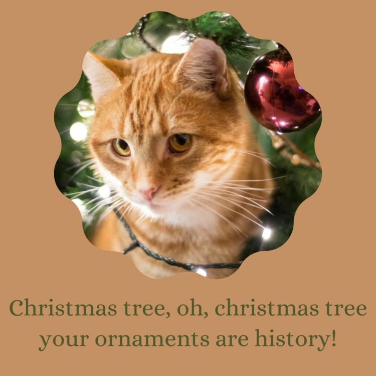 Cat Christmas Memes - Oh, christmas tree, your ornaments are history