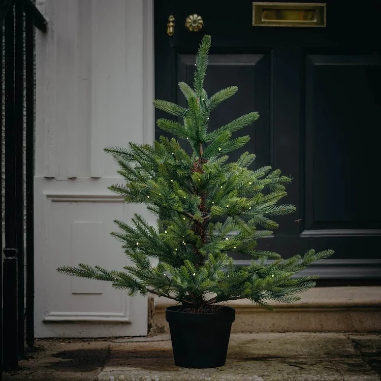 Den getopften Tannenbaum erst 1-2 Wochen vor Weihnachten ins Haus bringen