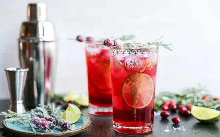 Festliche Rezepte für Weihnachtscocktail mit Gin