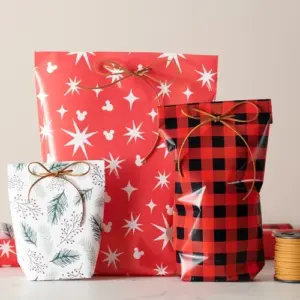 Geschenke einpacken Tüte basteln und dekorieren