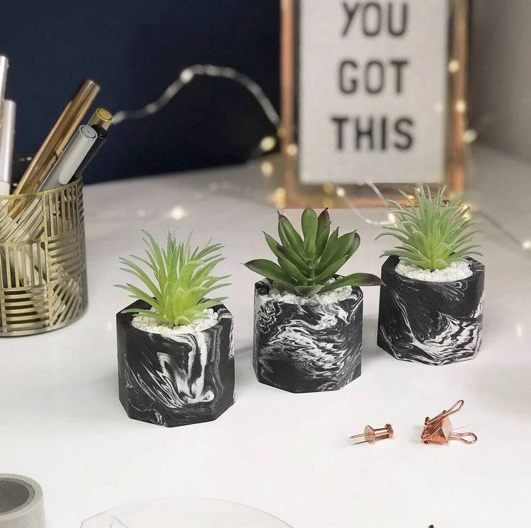 Kleine Weihnachtsgeschenke für Kollegen - eine Schreibtisch-Pflanze selber einpflanzen