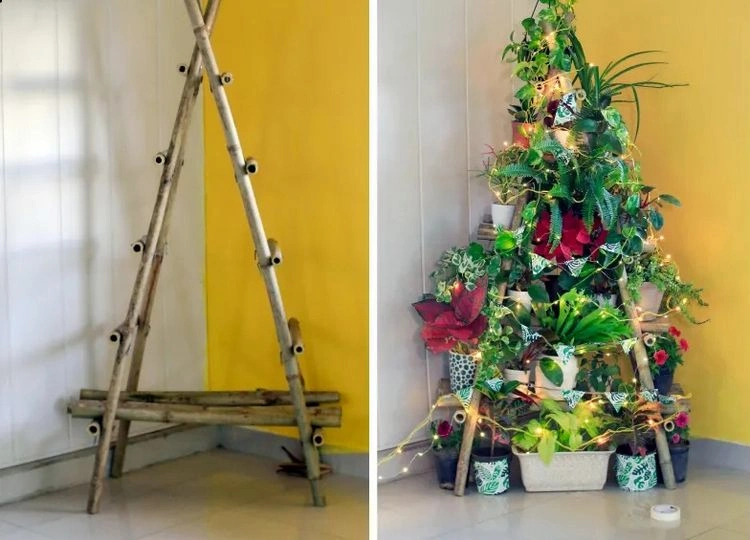 Leiter-Christbaum mit Weihnachtssternen und grünen Topfpflanzen dekorieren