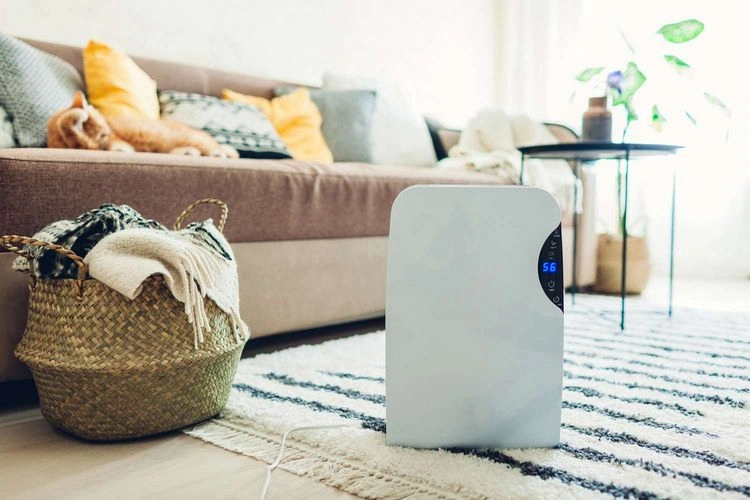 Luftfeuchtigkeit im Keller oder im Schlafzimmer senken - Verwenden Sie einen Luftentfeuchter