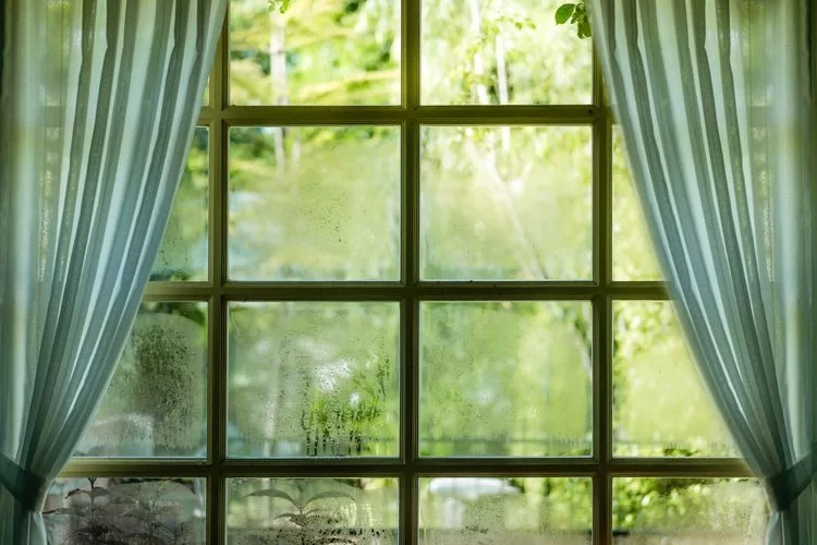 Luftfeuchtigkeit in der Wohnung senken - Mit diesen Tipps und Hausmitteln vermeiden Sie Schimmel im Winter