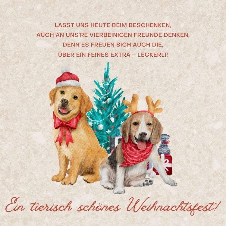 Tierisch schönes Weihnachtsfest Hundebesitzern wünschen mit Bild