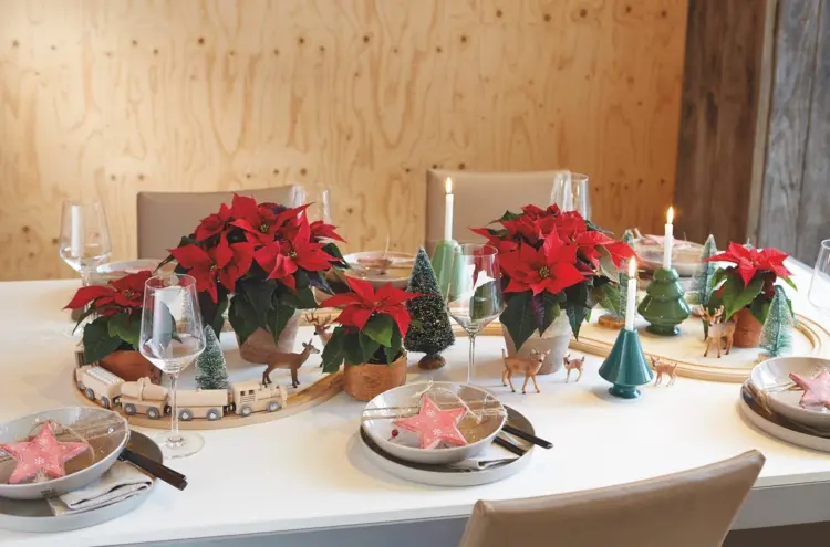 Tisch decken für Weihnachten - Schöne Idee mit Weihnachtssternen und Holz-Eisenbahn