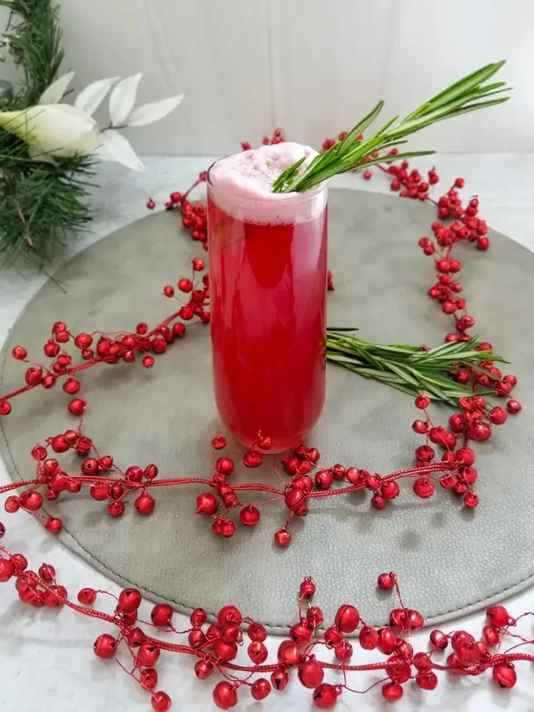 Weihnachtlicher Gin Fizz Cocktail mit Cranberry
