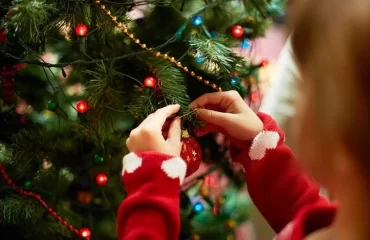Weihnachtsbaum frisch bis Weihnachten lange halten