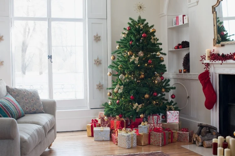 Weihnachtsbaum länger frisch bleibt zu Hause