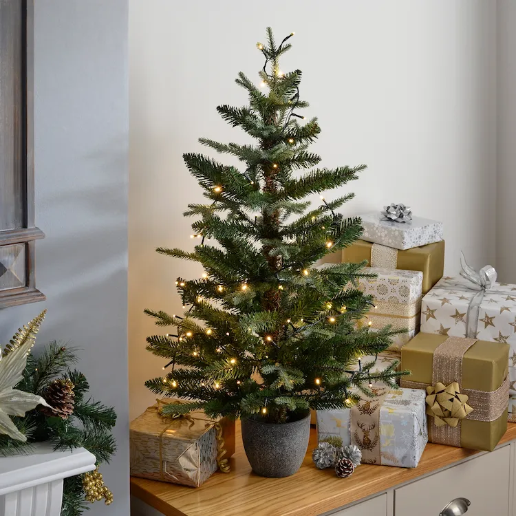 Wie soll man einen Weihnachtsbaum im Topf richtig pflegen