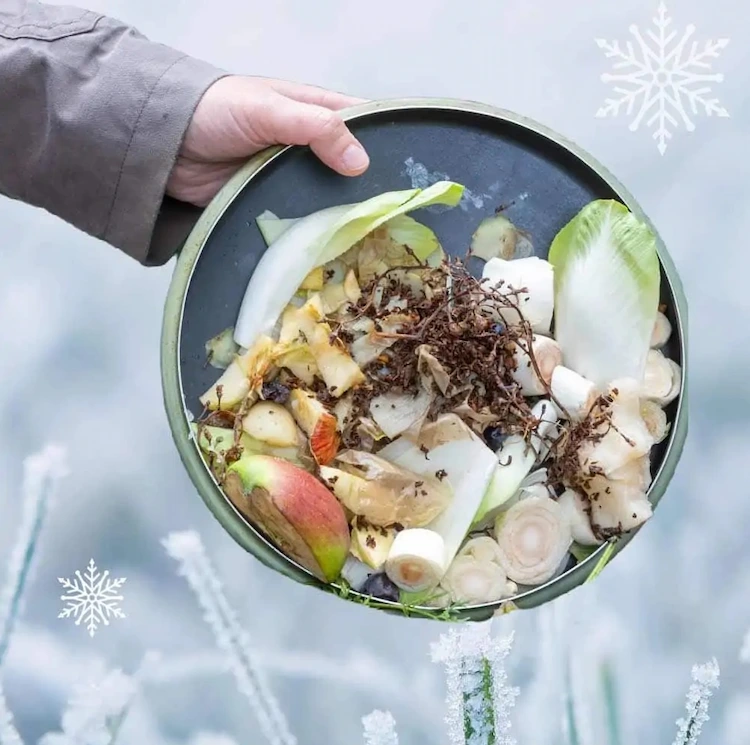 durch praktische und einfache methode kompost im winter aufbewahren und richtig pflegen