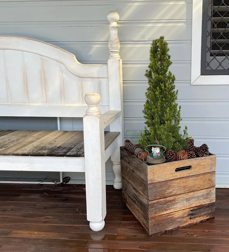 Holzkisten-Deko zu Weihnachten für draußen - Thuja und andere immergrüne Pflanzen arrangieren