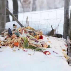 winterkompost anlegen und durch die richtige pflege bodennährstoffe für pflanzen im frühjahr erhalten