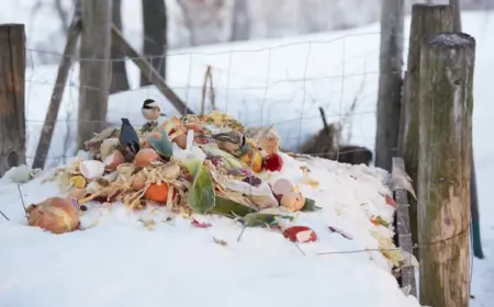 winterkompost anlegen und durch die richtige pflege bodennährstoffe für pflanzen im frühjahr erhalten